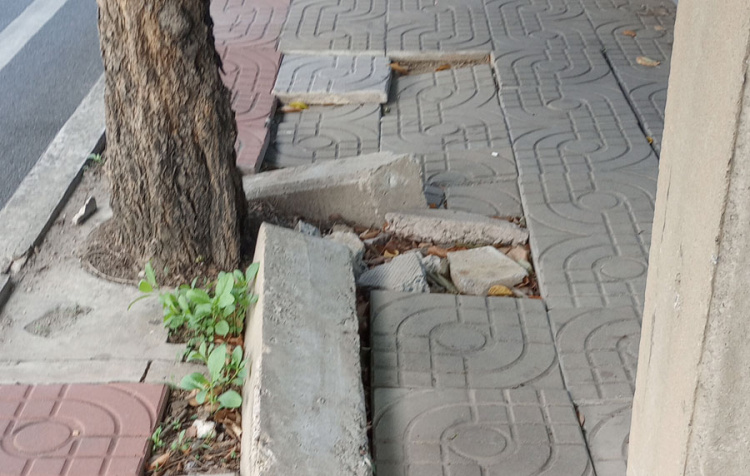 Who Is Responsible for the Sidewalks in Your Town?