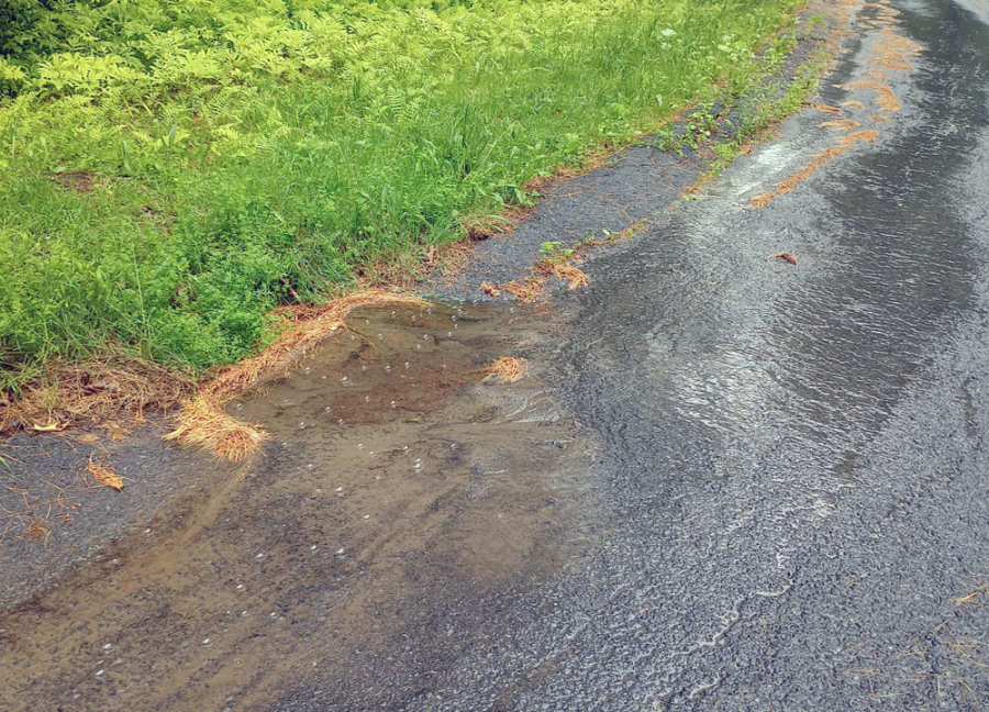 Out of Sight, Out of Mind: Why Every Stormwater Asset Should Be in Your Asset Management System