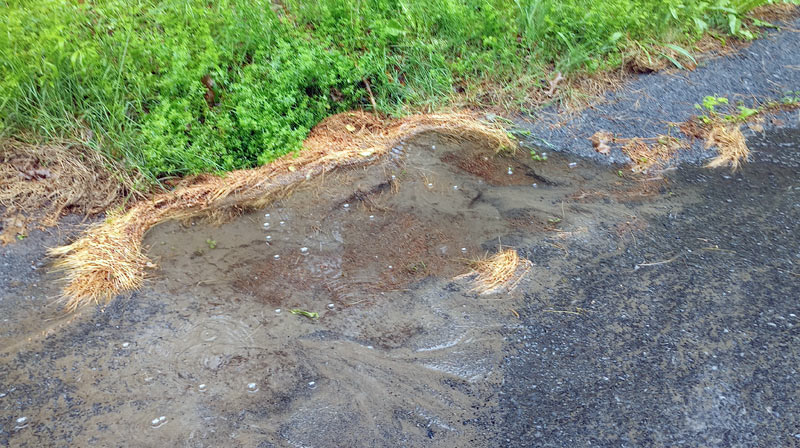 Water pooling over buried stormwater drain inlet during rain storm.